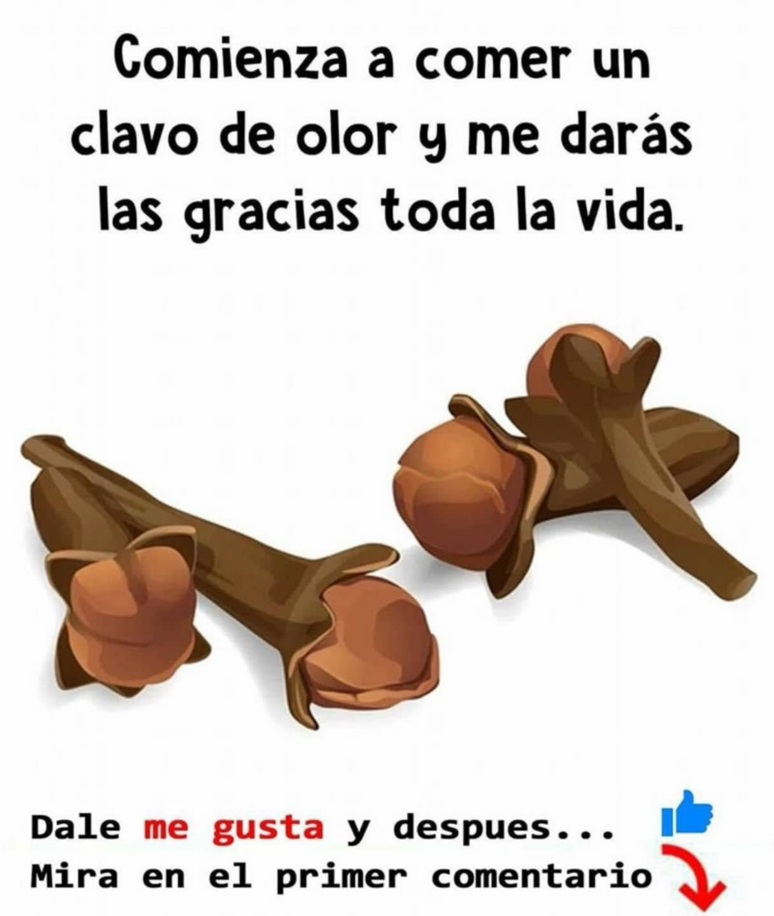 QUE OCURRE SI MASTICAS CLAVOS DE OLOR TODOS LOS DIAS