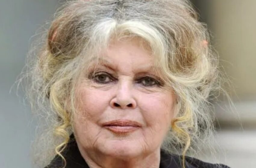 ¡Brigitte Bardot Cumple 90 Años: Un Vistazo a la Legendaria Actriz en Su Juventud!