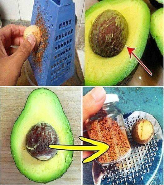 Semilla de Aguacate para bajar el colesterol y triglicéridos, conoce todos sus beneficios