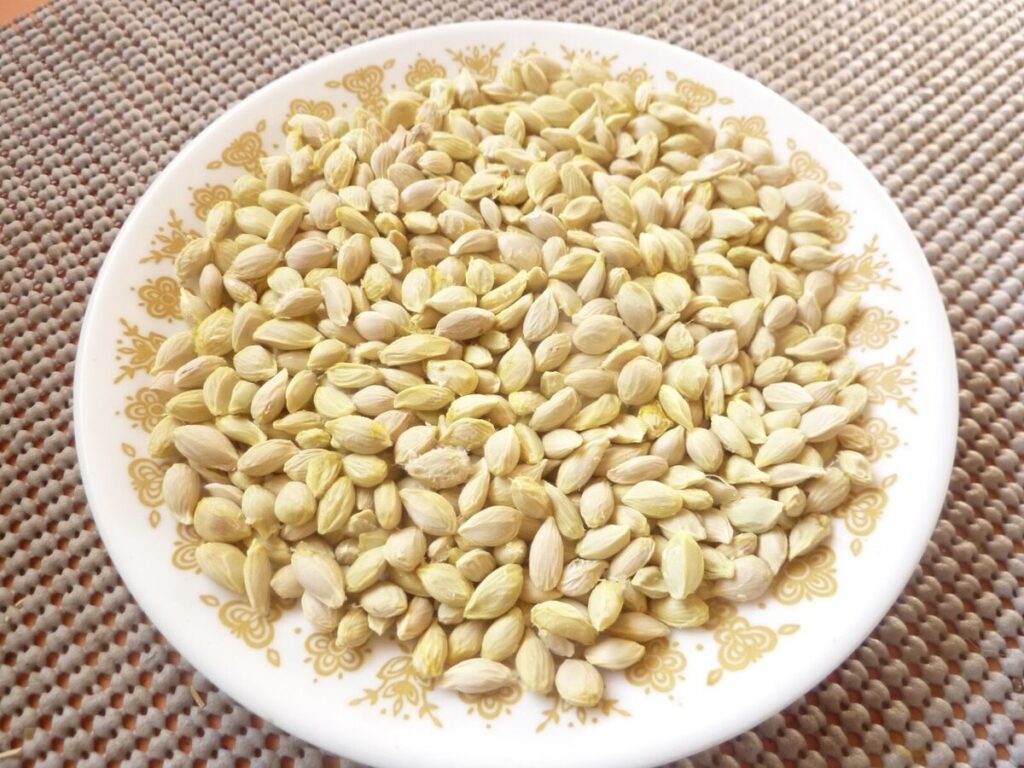 semillas de limón